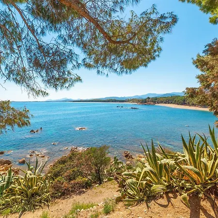 Mediterranean باري ساردو