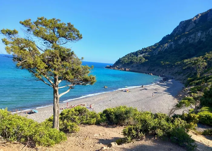 Daire Mediterranean *