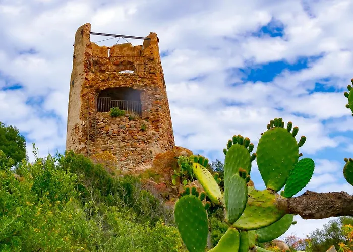 Daire Mediterranean *